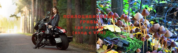 герыч Горняк