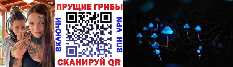 Галлюциногенные грибы GOLDEN TEACHER  Купить  Карпинск 